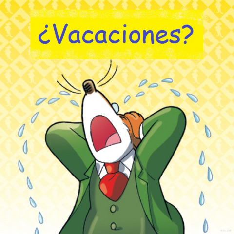 De vuelta a casa...