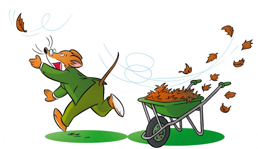 Llegó el otoño… ¡y la caída de las hojas!