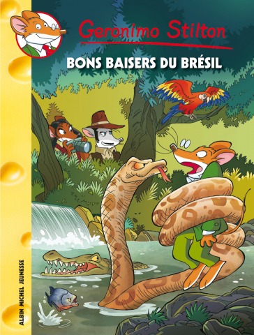 BONS BAISERS DU BRÉSIL !