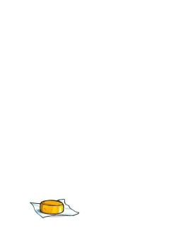 Mein Name ist Stilton, Geronimo Stilton (Band 1)