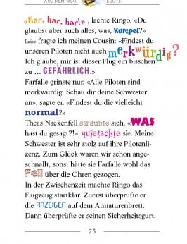 Schiffbruch vor der Pirateninsel (Band 7)