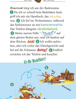 Das Geheimnis der gl&auml;sernen Gondel (Band 28)