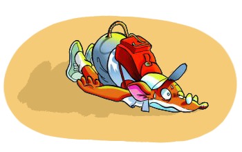 Alerta amb la calor!