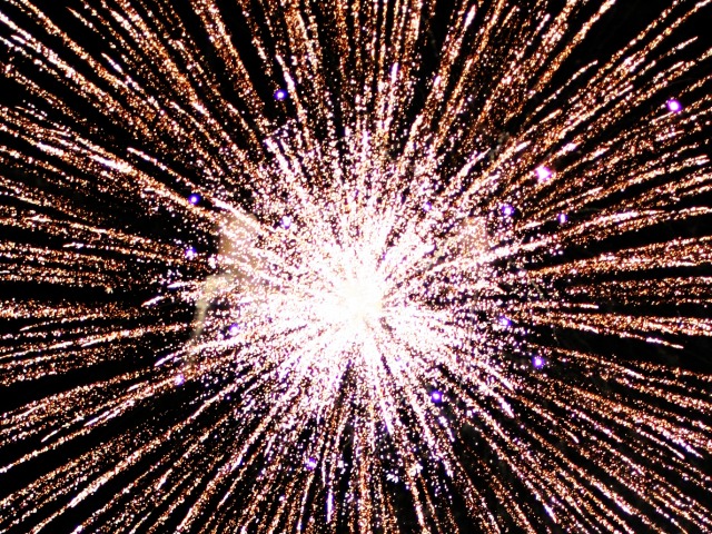 Feliç 2013, rosegadors!!