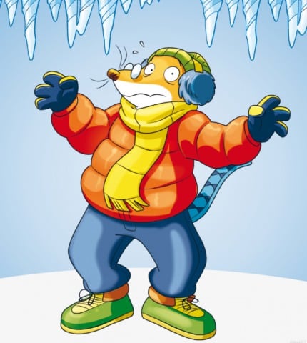 Un freddo felino!
