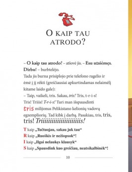 SŪRIO SPALVOS AUTOMOBILINIS NAMELIS