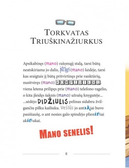 SŪRIO SPALVOS AUTOMOBILINIS NAMELIS