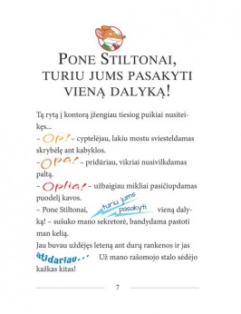SŪRIO SPALVOS AUTOMOBILINIS NAMELIS