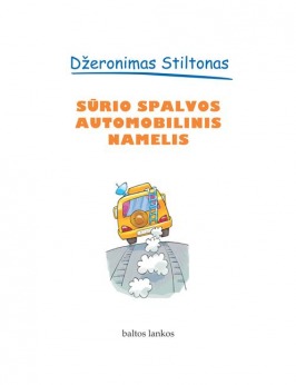 SŪRIO SPALVOS AUTOMOBILINIS NAMELIS