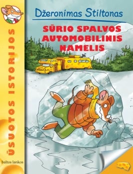 SŪRIO SPALVOS AUTOMOBILINIS NAMELIS