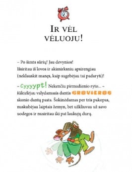 SMARAGDO AKIES PASLAPTIS