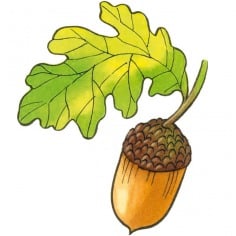 Herfstspelletjes!