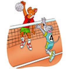 De snelle sport quiz