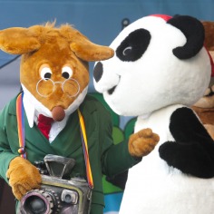 V&ecirc; as fotografias do Festival Panda!