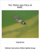 topoaras - TEA TROVA UNA FOCA IN MARE.