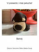 Bandy - Vi presento i miei peluche!