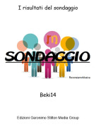 Beki14 - I risultati del sondaggio