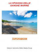 TOPOFABIO06 - LA SPIAGGIA DELLEGANGHE MARINE