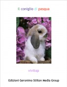 vivitop - il coniglio di pasqua