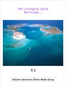 T.f - Nel triangolo delleBermuda...