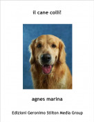 agnes marina - il cane colli!