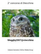 Megghy2007@stecchina - 2&deg; concorso di Stecchina