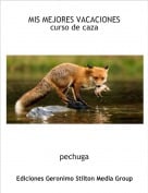 pechuga - MIS MEJORES VACACIONEScurso de caza