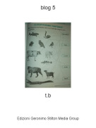 t.b - blog 5