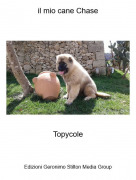 Topycole - il mio cane Chase