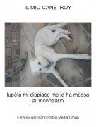 lup&egrave;ta mi dispiace me la ha messa all'incontrario - IL MIO CANE ROY