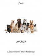 LIPUNDA - Cani