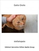 stellatopata - Gatto Giulio