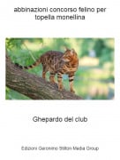 Ghepardo del club - abbinazioni concorso felino per topella monellina