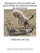 Ghepardo del club - abbinazioni concorso felino per giulia fontina de scamorza fondutis de scamorzius