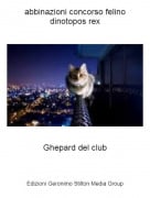 Ghepard del club - abbinazioni concorso felino dinotopos rex