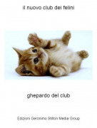 ghepardo del club - il nuovo club dei felini