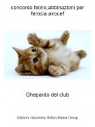 Ghepardo del club - concorso felino,abbinazioni per ferocia airocef