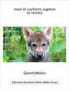 QuesitoMolon - maxi el cachorro jugetonla revista