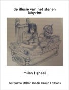 milan ligneel - de illusie van het stenen labyrint