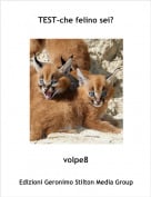 volpe8 - TEST-che felino sei?