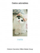 Iratita - Gatos adorables