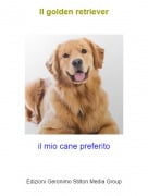 il mio cane preferito - Il golden retriever