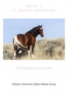 #Topolina/curiosina - parte 1Il quadro salterino.