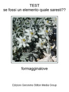 formagginalove - TESTse fossi un elemento quale saresti??