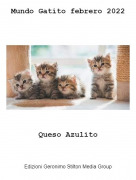 Queso Azulito - Mundo Gatito febrero 2022