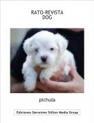 pichula - RATO-REVISTADOG