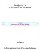 pichula - Academia de princesas.Precentasion.