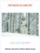 TOPA SUPER ACTIVITY - CHE RAZZA DI CANE SEI?