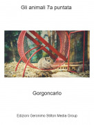 Gorgoncarlo - Gli animali 7a puntata