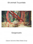 Gorgoncarlo - Gli animali 7a puntata